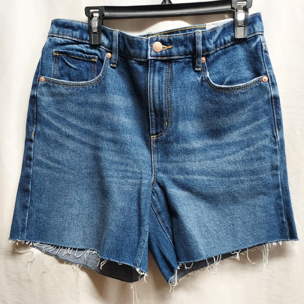 LOFT Mid Blue Raw-Hem Denim Shorts
